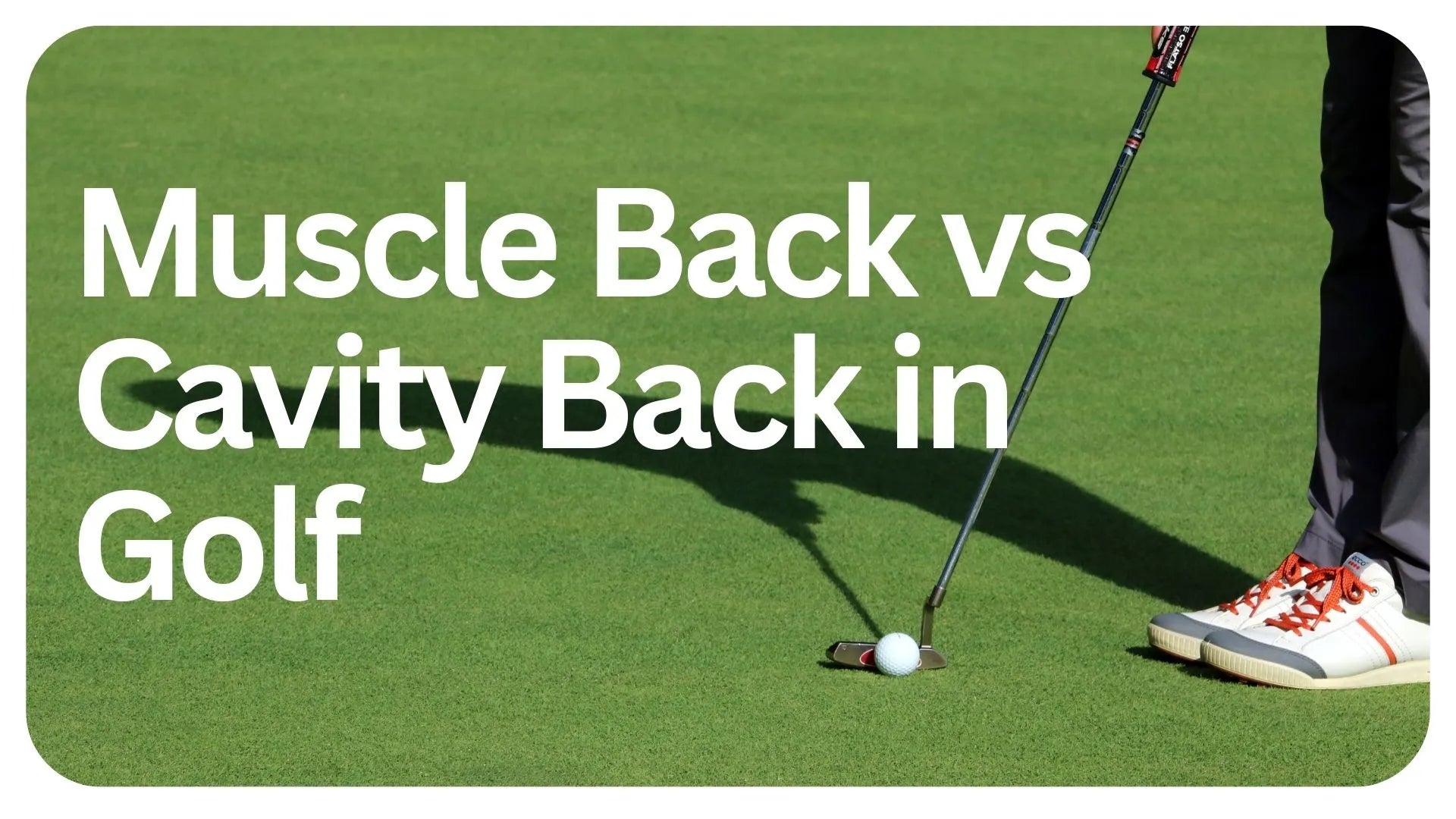 Muscle back vs cavity back irons comparison for golfers