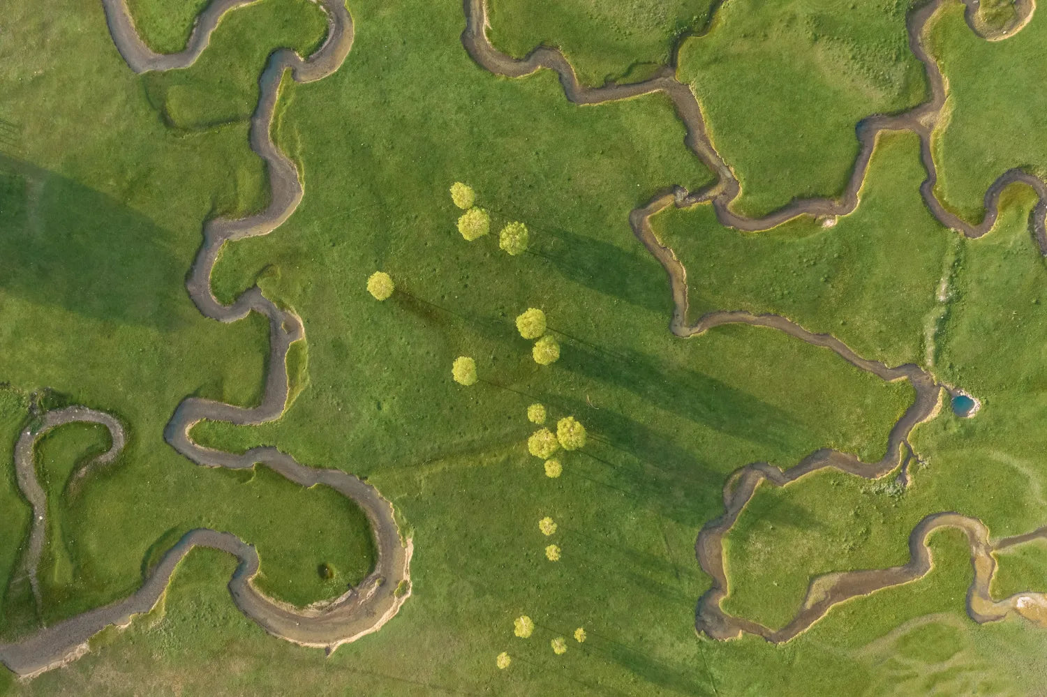 Golf season start and end dates by region