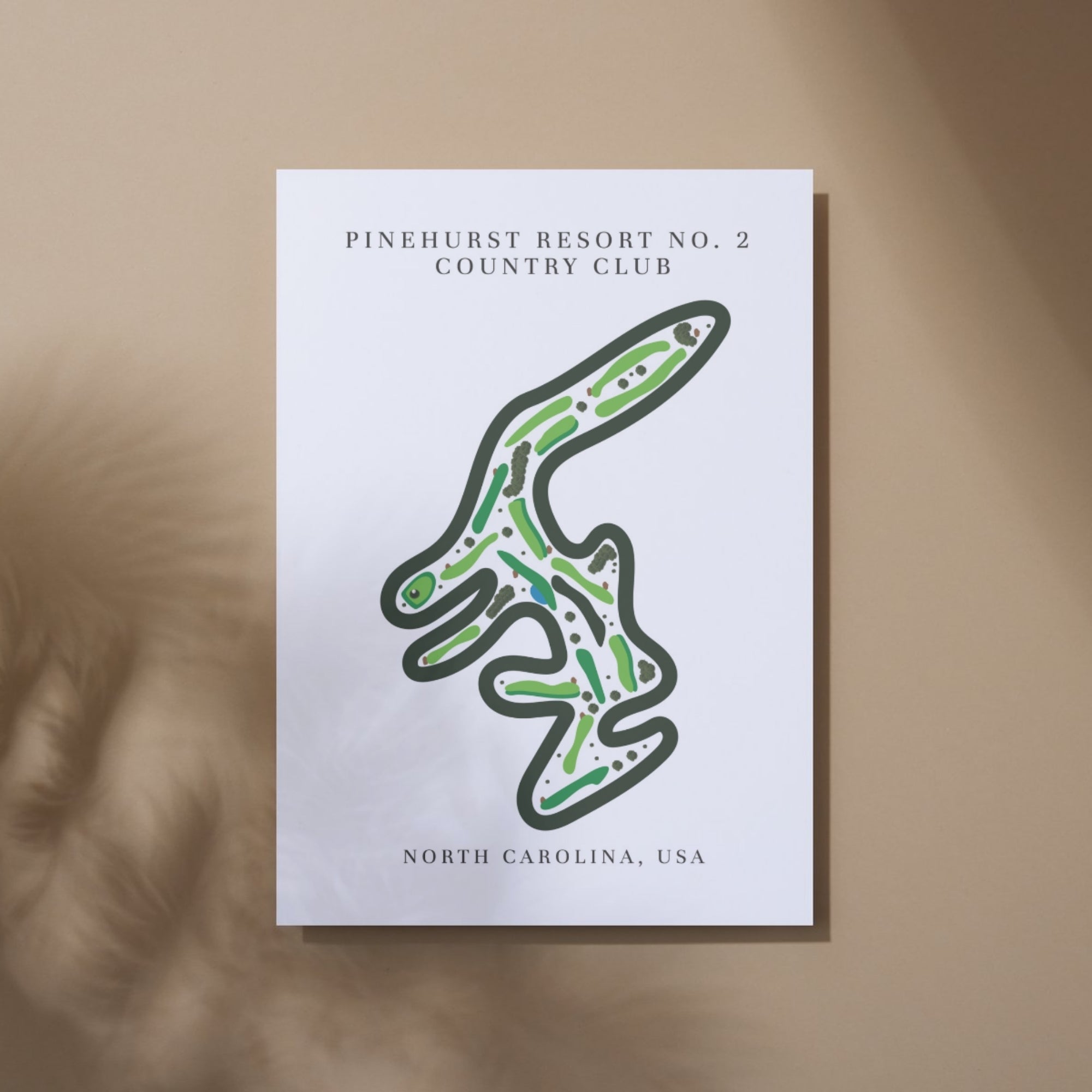 Pinehurst Resort No. 2 Country Club Golf Course Print, North Carolina