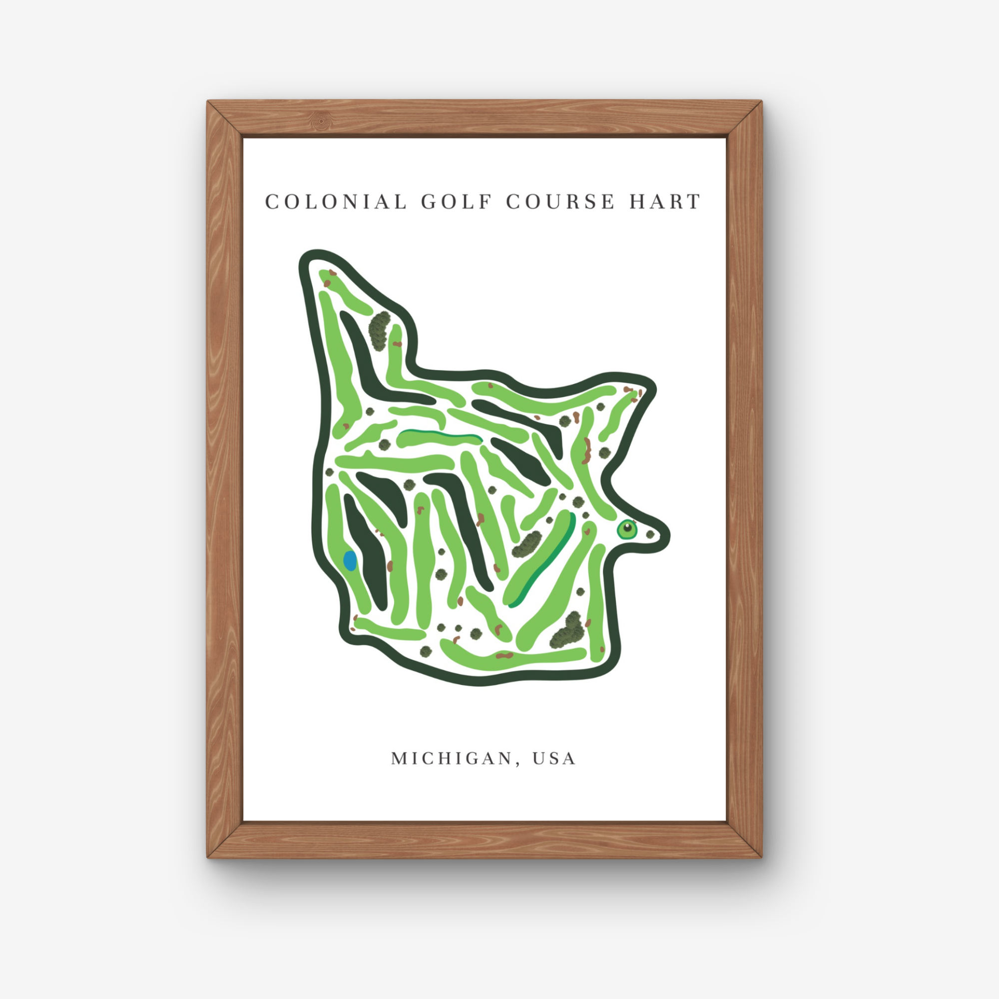 Colonial Golf Course Golf Course Prints, Michigan, Golf Map Artwork