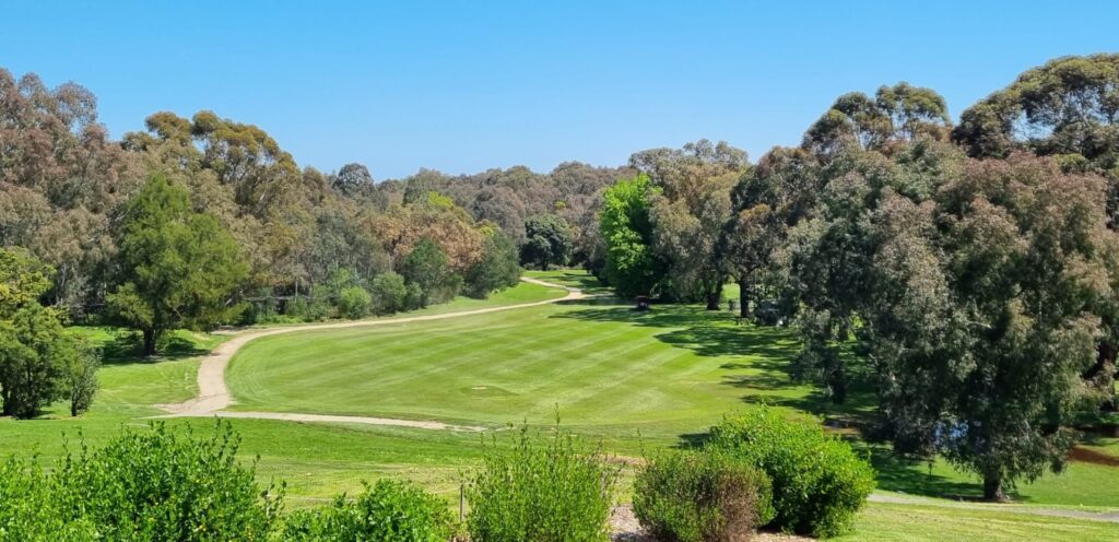 What to Get a Golfer for His Birthday